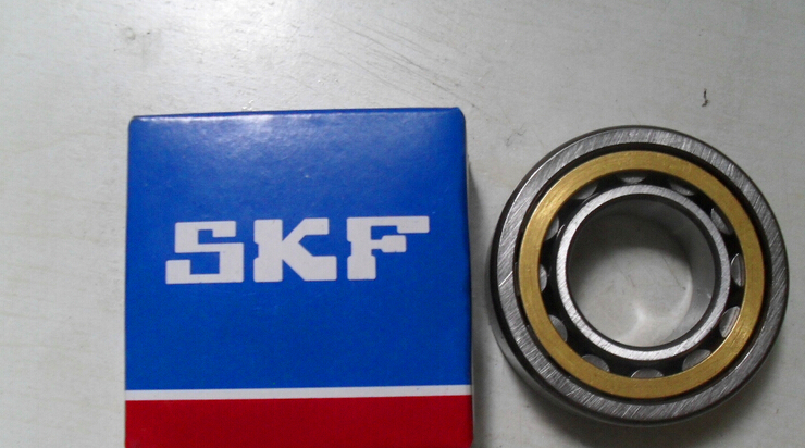 New in Box NEW SKF NJ 220 ECJ//C3 BEARING